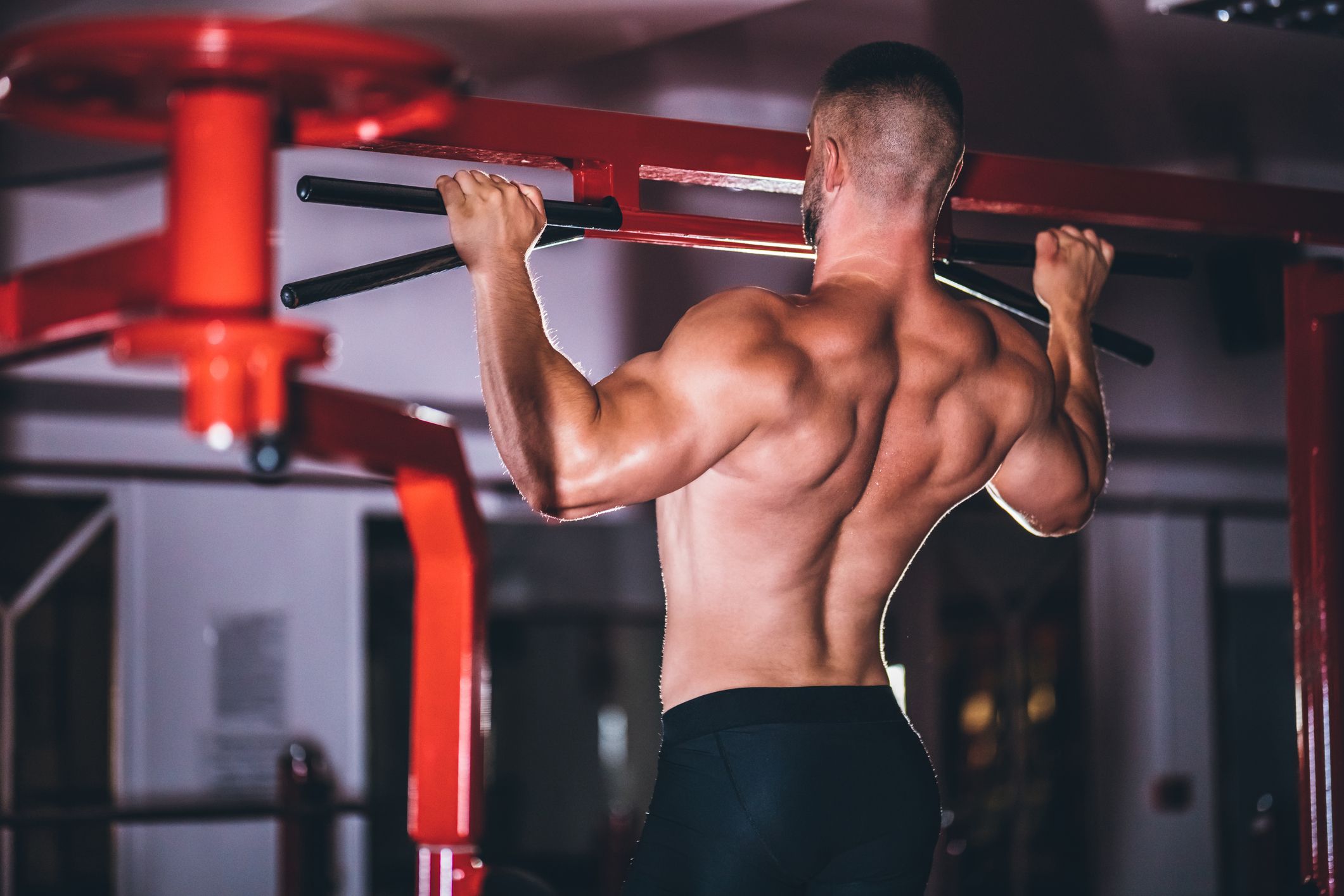 back muscle exercises for men