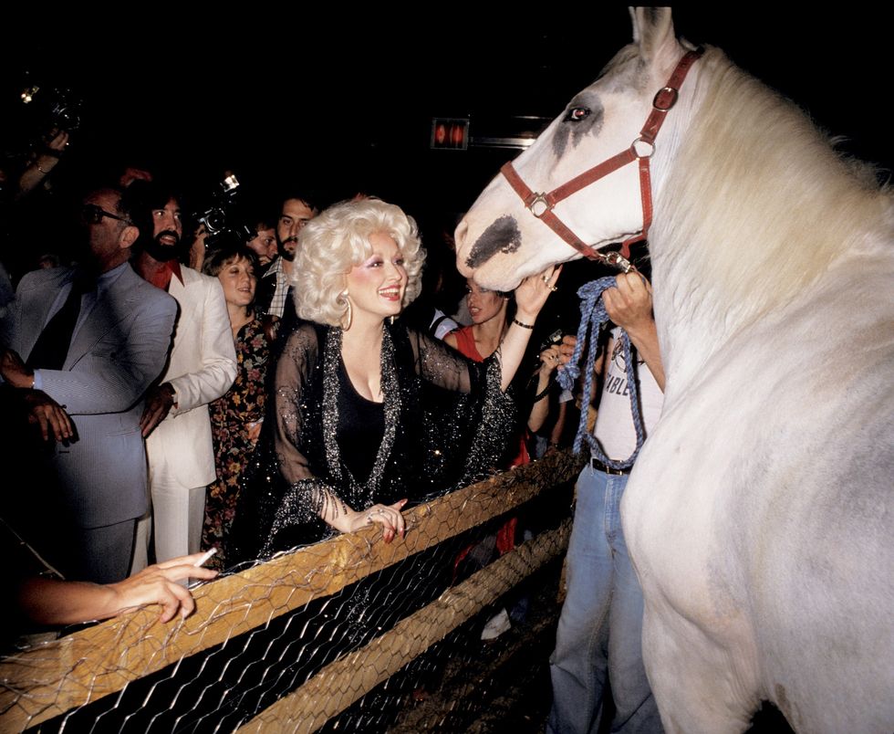dolly parton with a horse during an after party at studio 54,22nd may 1978 photo by ron galellaron galella collection via getty images