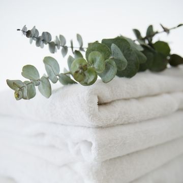 Studio Shot of folded towels and eucalyptus on top