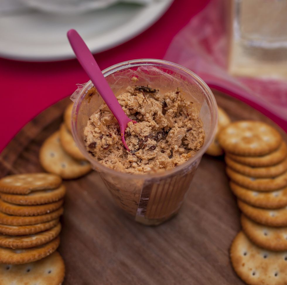 stuffed cream cheese and edible mexican chapulines grasshoppers