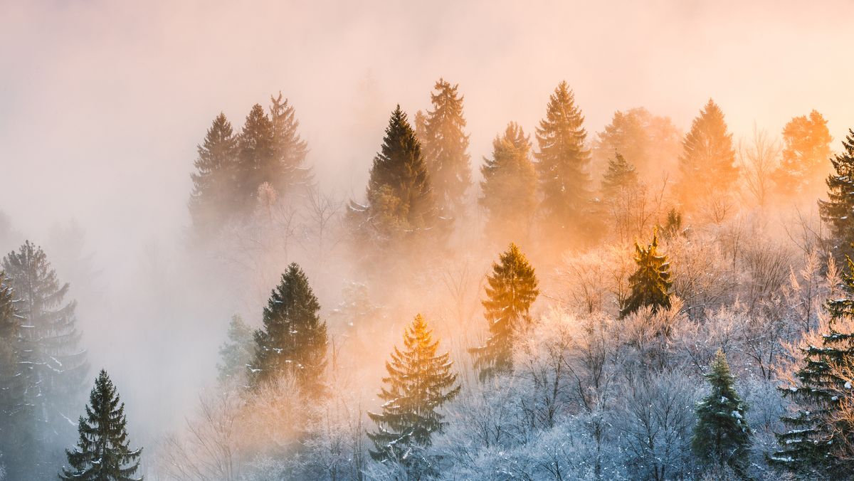 75 Winter Instagram Captions for All Your Snowy Photos