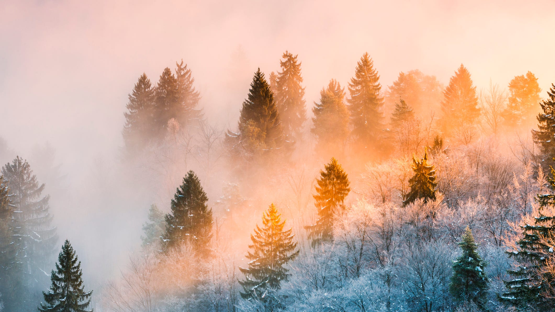 6 Free Winter Digital Backgrounds - Free Pretty Things For You