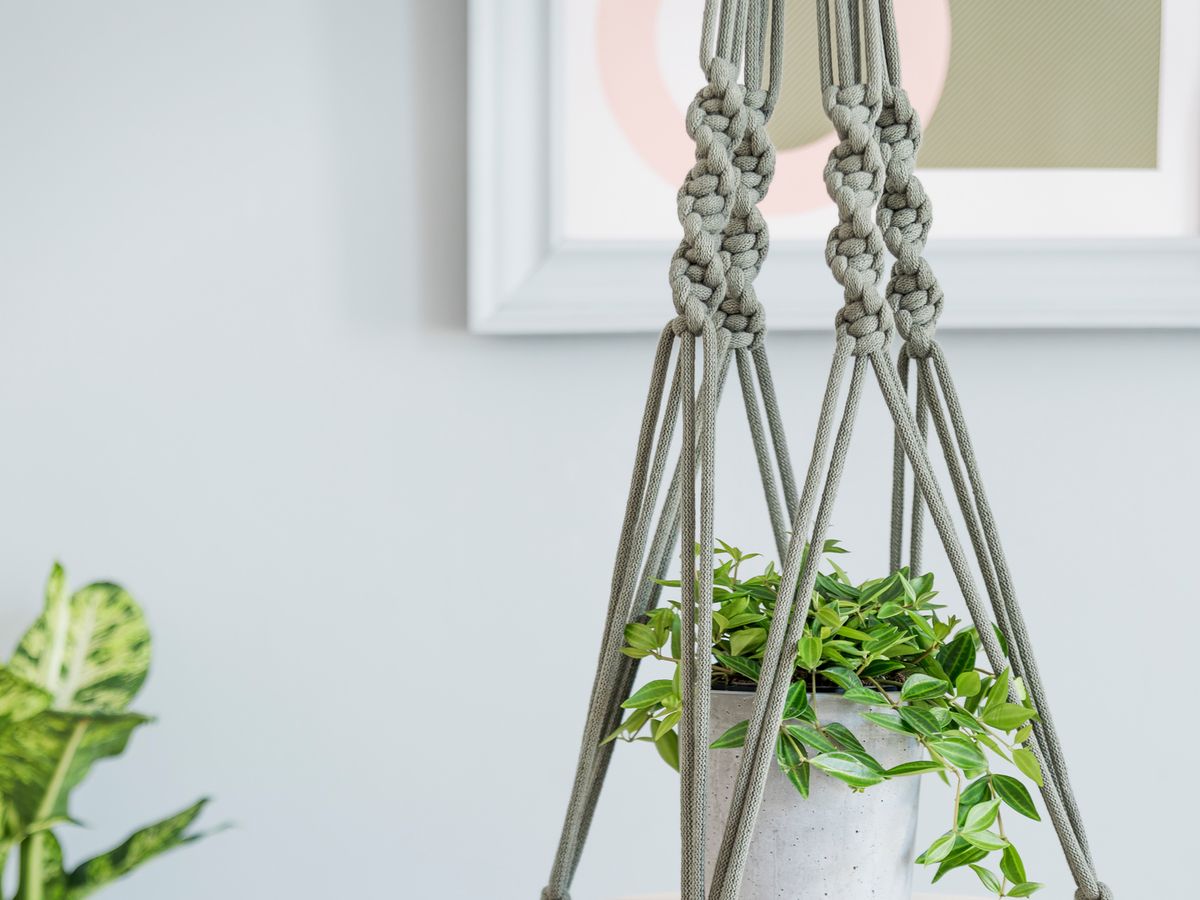 The 9 Best Hanging Fruit Baskets for 2023