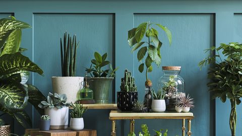 preview for This DIY Planter Is What Your Mongrammed Dreams Are Made Of