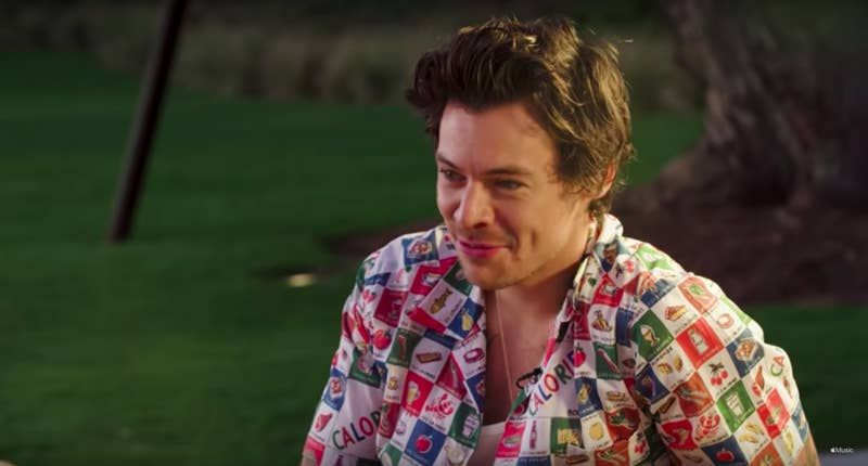 Harry Styles reveals that 'Watermelon Sugar' has a NSFW meaning - Dublin's  FM104