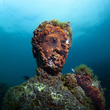 baiae, naples, campania, southern italy may, 2018 submerged statue head