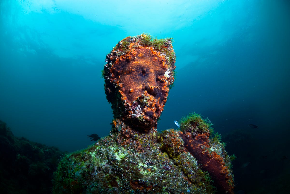 baiae, naples, campania, southern italy may, 2018 submerged statue head