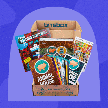 subscription boxes for kids including highlights kindergarten subscription box, bitsbox coding subscription box, snail mail weekly letter from sunny the mail snail, surprise ride subscription activity box