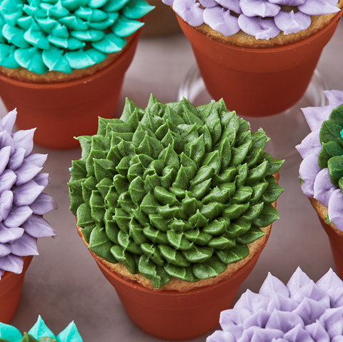 cupcakes decorated to look like succulents