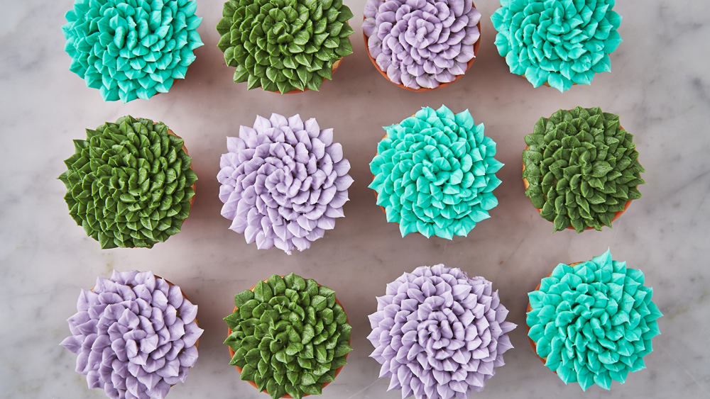 Video player poster image preview for Succulent Cupcakes Make The Cutest Garden