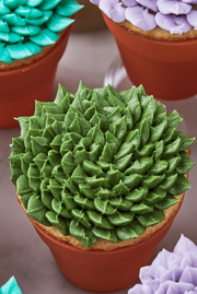 Succulent Cupcakes - Delish.com