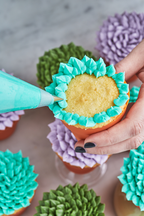 Succulent Cupcakes - Delish.com succulent cupcakes