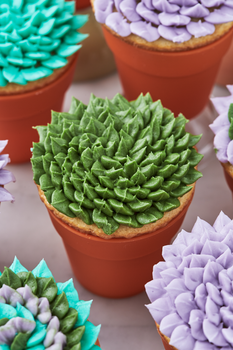 succulent cupcakes