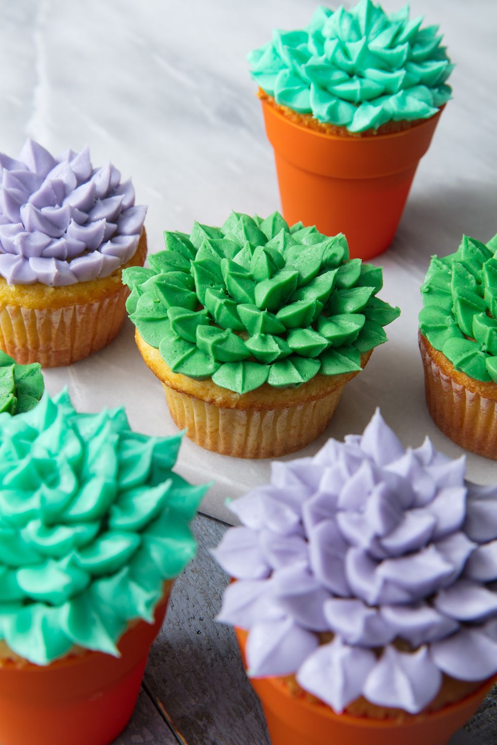 succulent cupcakes vertical