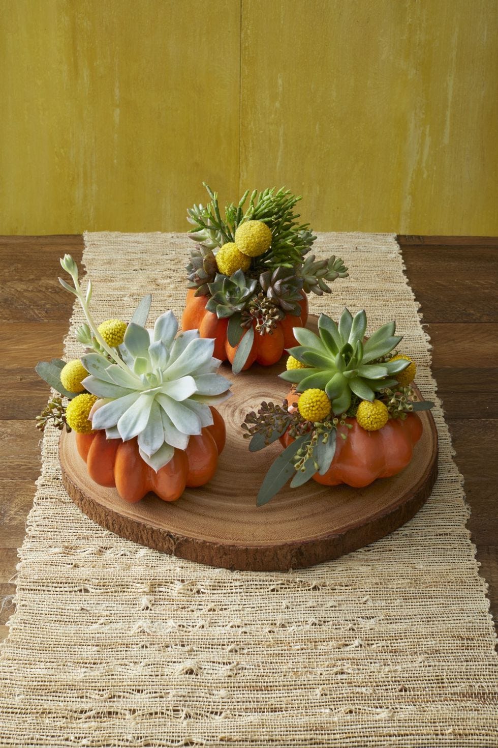 Mini pumpkin planter with succulents