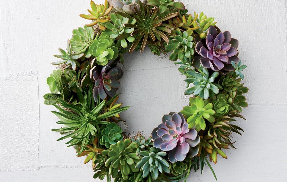 Living Heart Wreath Succulents / Air Plants / Dried Flowers