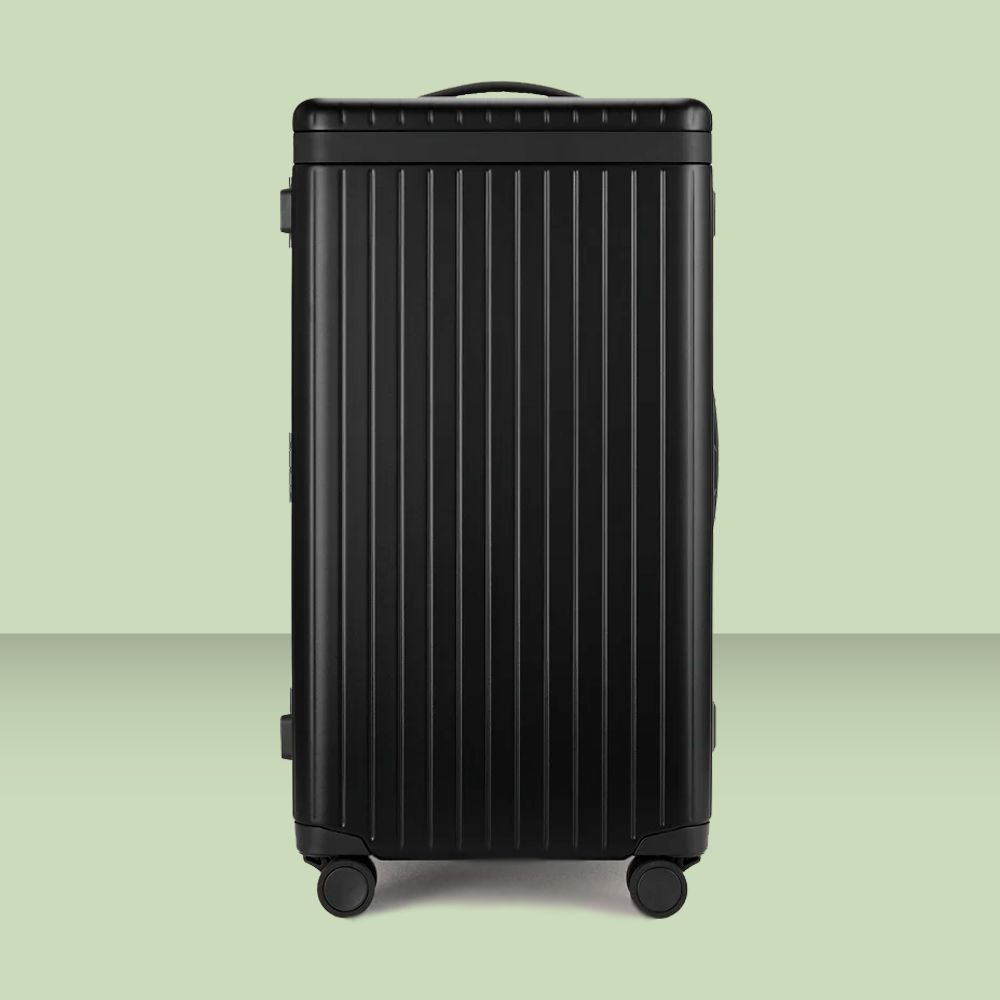 carl friedrik suitcase