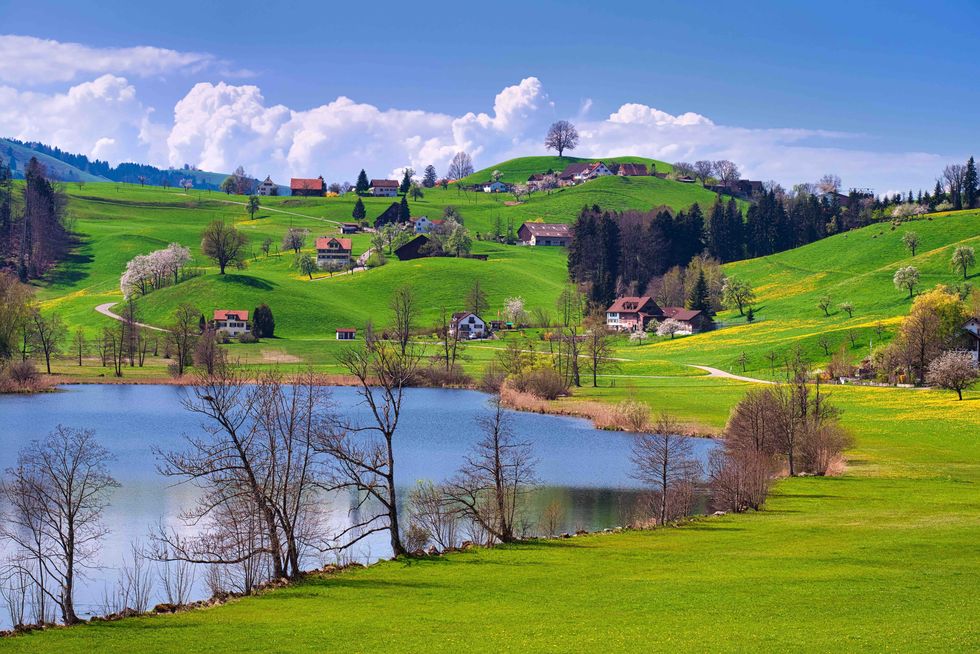 Lake Huettnersee with hilly landscape in spring, huts, Zuercher Oberland, Canton Zurich, Switzerland