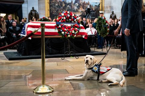 President George H.W. Bush Lies In State At U.S. Capitol