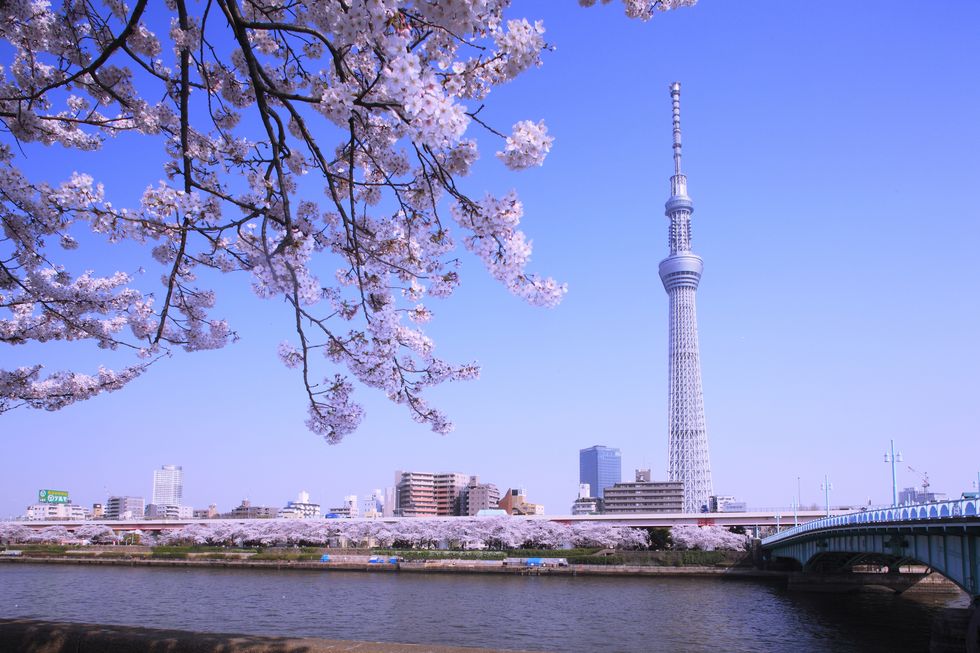 Sumida Park, Sumida River and Tokyo Sky Tree