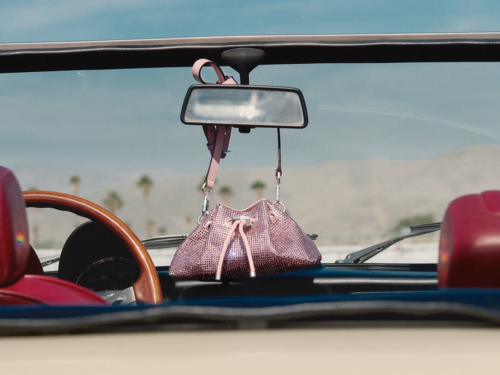 a pink purse in a car