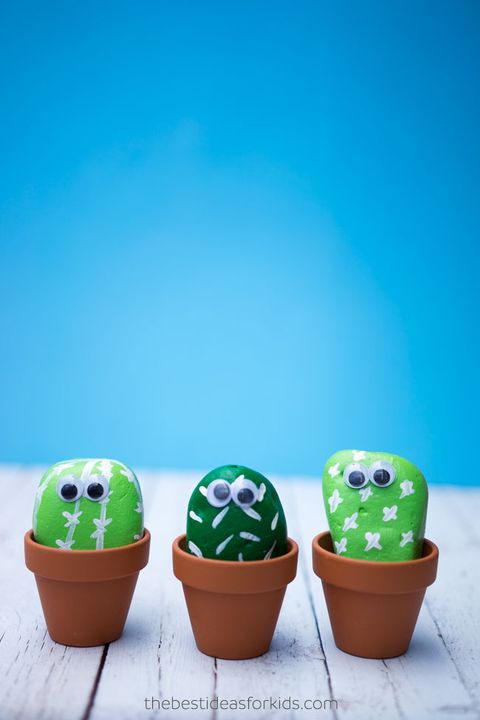 Summer Activities for Kids - Cactus Rock Garden