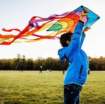 summer activities kid holding a kite above their head at a park