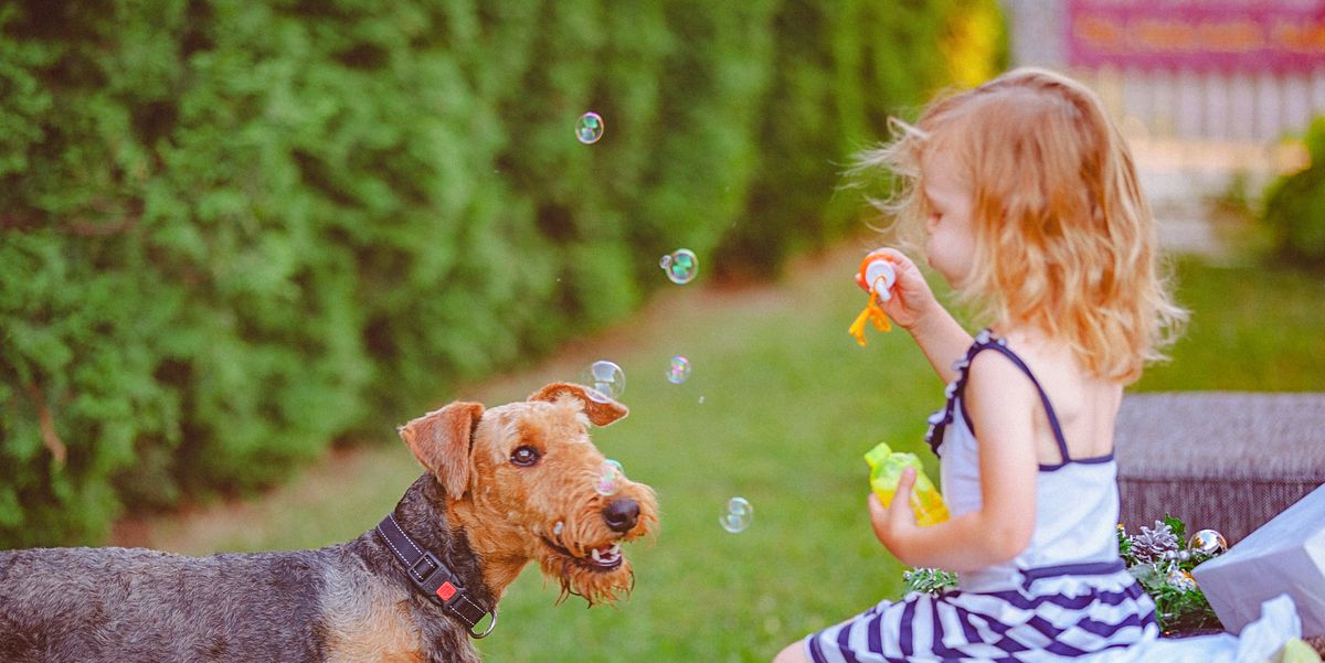 Welcoming A New Four-Legged Family Member? 10 Must-Haves for Your Pupp