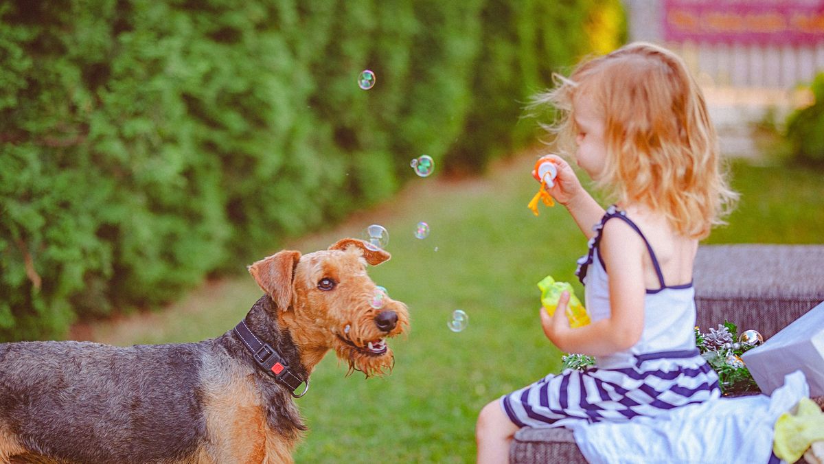 20 Best Dogs Breeds That Are Good For Kids And Families