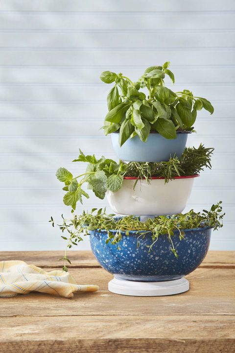a three tiered stand made from enamelware bowls of descending size filled with planted herbs including thyme, mint, and basil