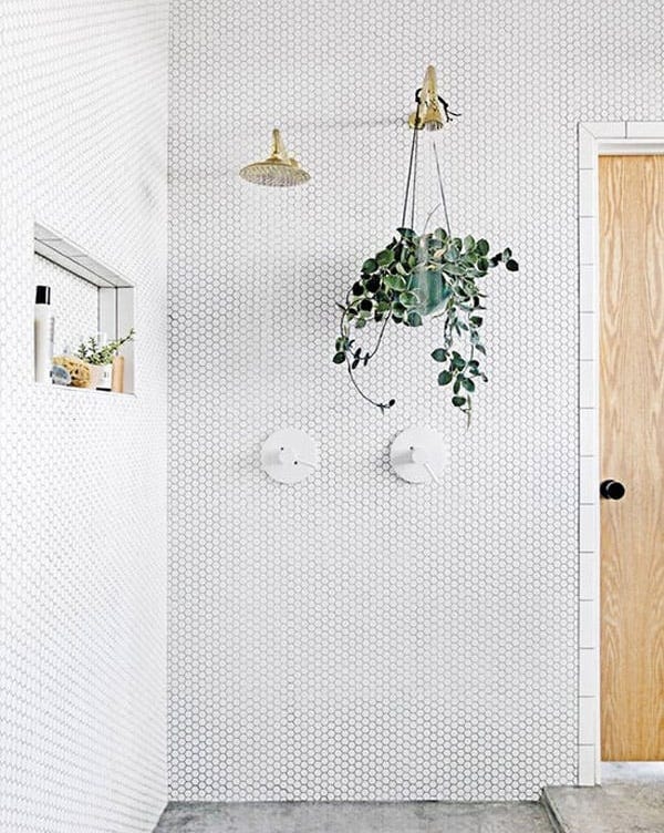 summer decorating ideas summer decorating ideas bathroom plants