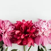 best love quotes best love quotes