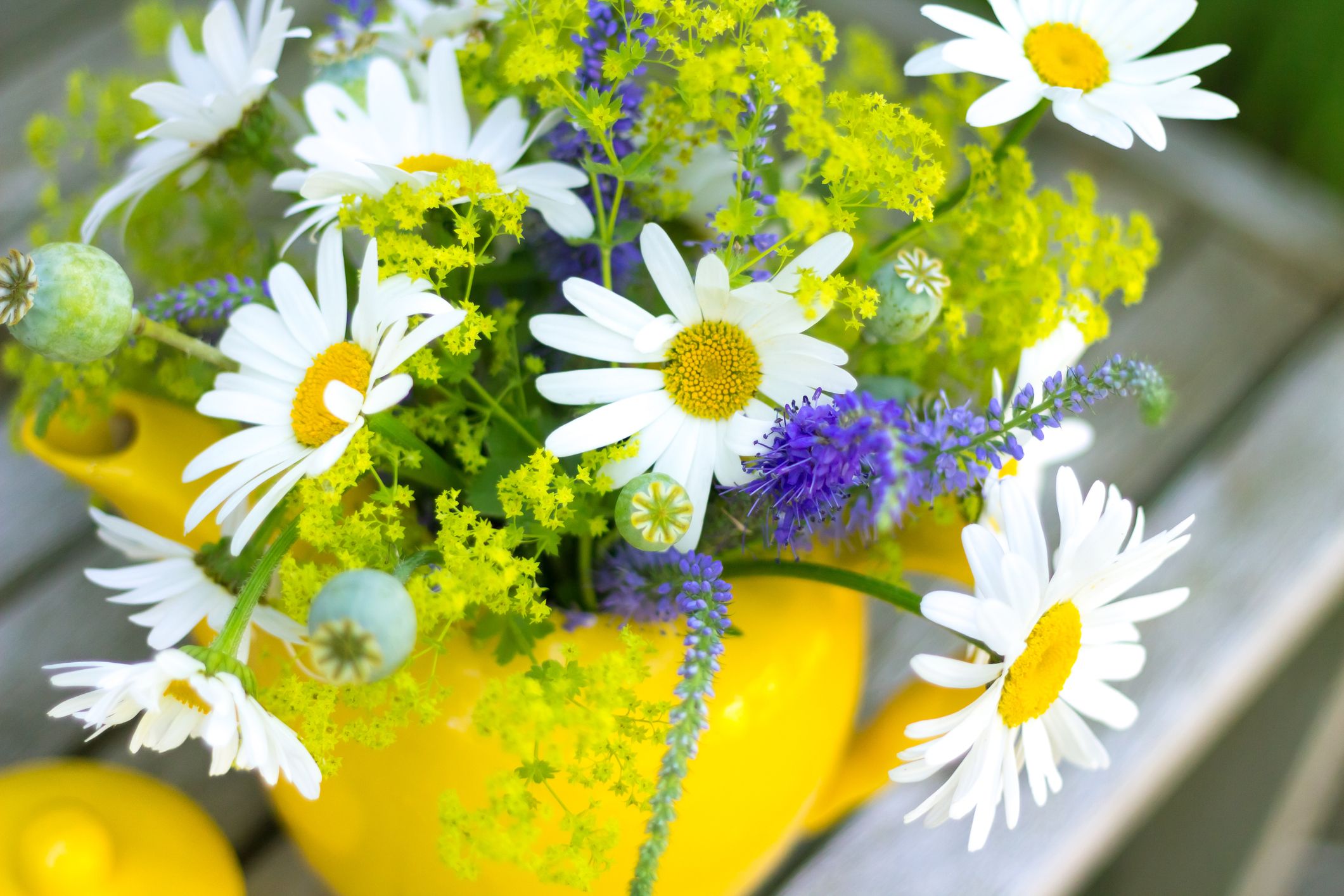 https://hips.hearstapps.com/hmg-prod/images/summer-flower-arrangement-with-daisies-royalty-free-image-465646559-1566892132.jpg