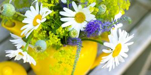 Summer flower arrangement with daisies