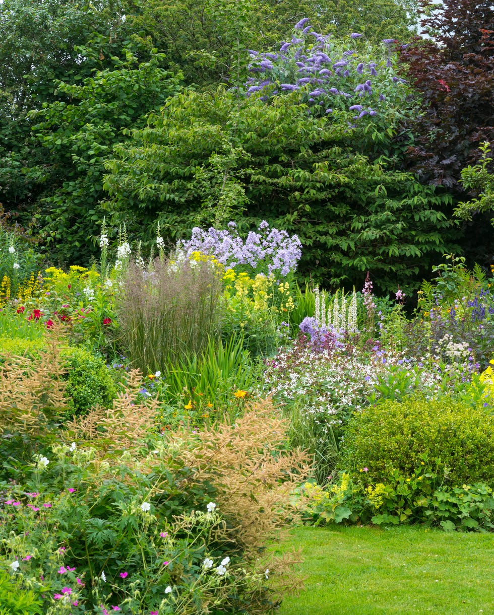 How to rewild habitats in your garden How to rewild habitats in your garden