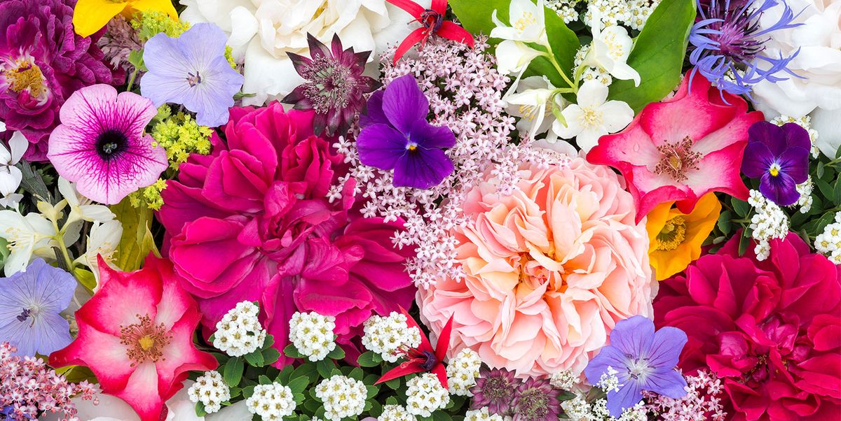 8 Summer Flower Arrangement Ideas - Summer Floral Design