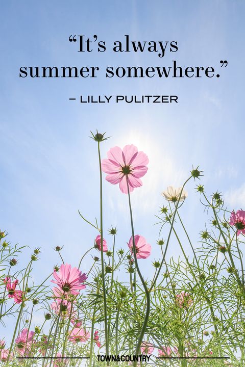 pulitzer summer quote
