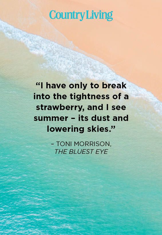 “i have only to break into the tightness of a strawberry, and i see summer – its dust and lowering skies”  – toni morrison,  the bluest eye