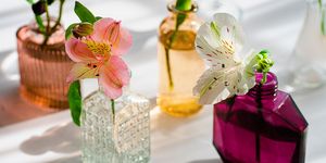 summer scene with flowers in the colorful glass vases from perfume sun and shadows minimal nature background