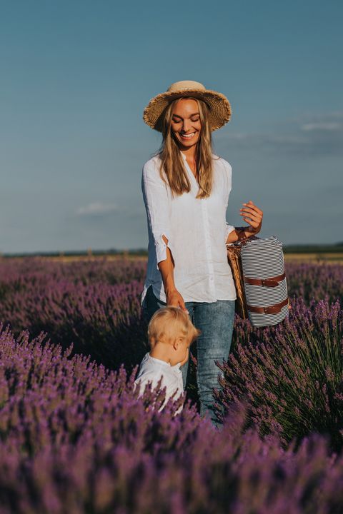 summer things to do lavender field