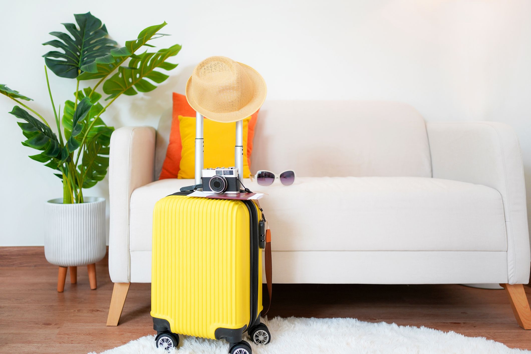 Affordable luggage online