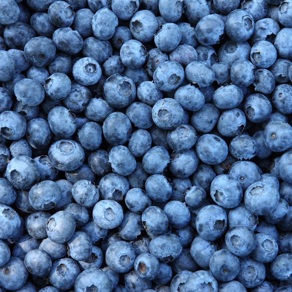 summer trivia blueberries