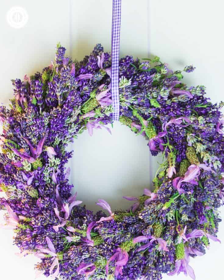 summer lavender wreath