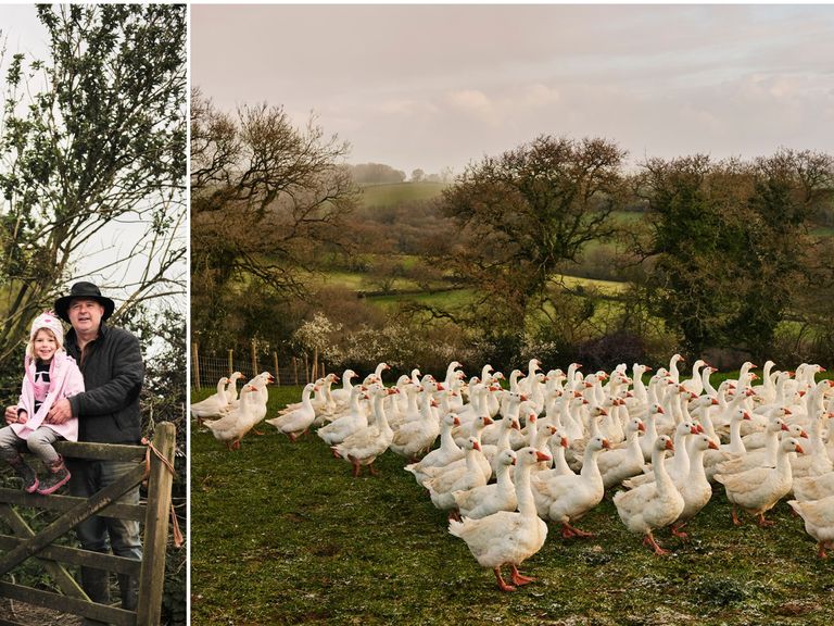 artisan food producers summerhill farm geese