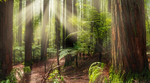 These Gorgeous Photos of New Zealand Will Transport You