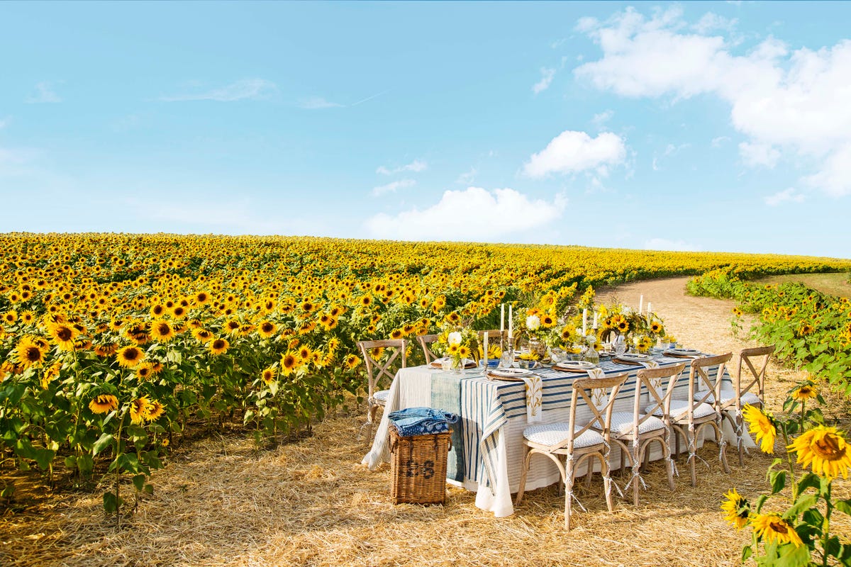 27 Best Sunflower Fields Near Me - Top Sunflower Fields & Mazes in the U.S.