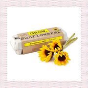 sunflower gifts  sunflower garden grow kit and personalized sunflower necklace