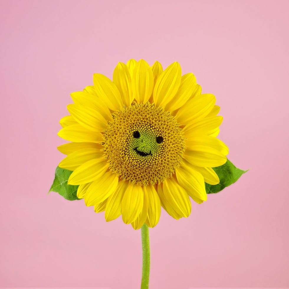 Sunflower Smiley Face