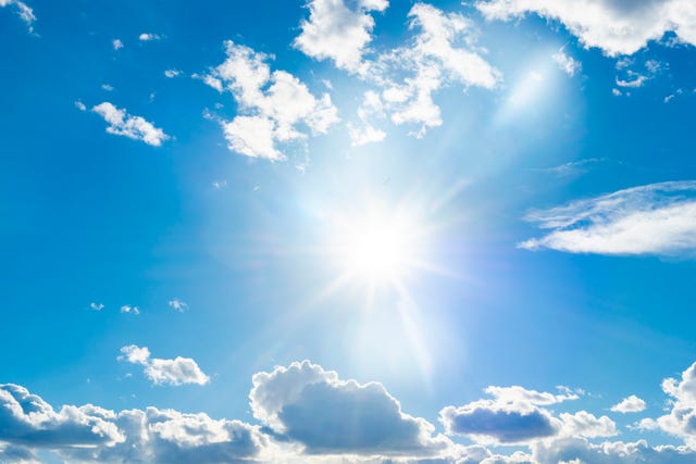 sunny day
