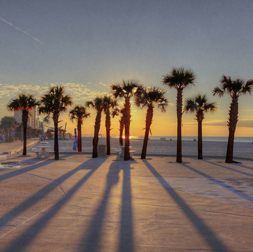 sunrise behind the palm trees